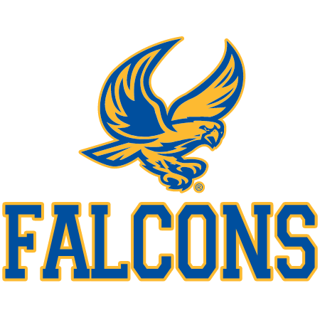 Falcons Logo